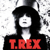 T-REX / Slider