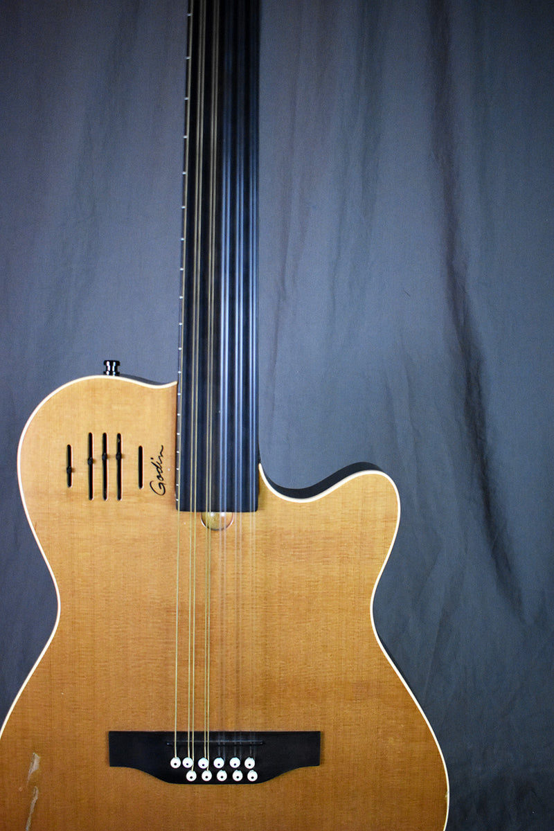 2001 Godin A11 Glissentar – Telluride Music Co.