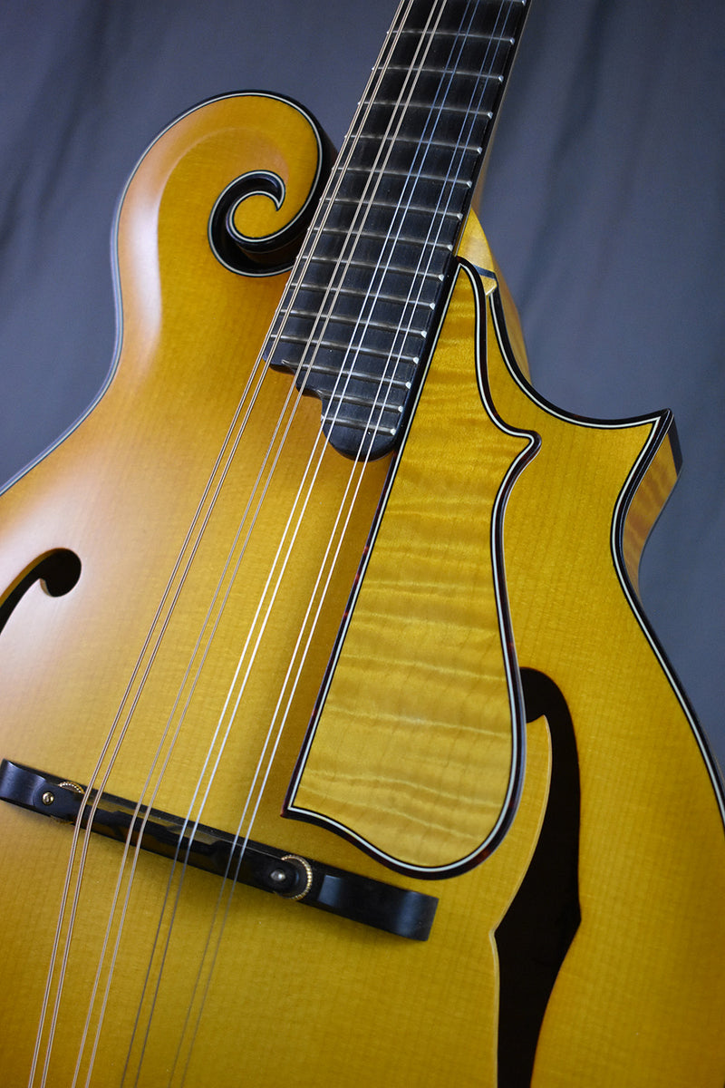 2004 Nugget F5 Deluxe #254 – Telluride Music Co.