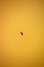 Load image into Gallery viewer, 2011 Gibson Melody Maker Special TV Yellow