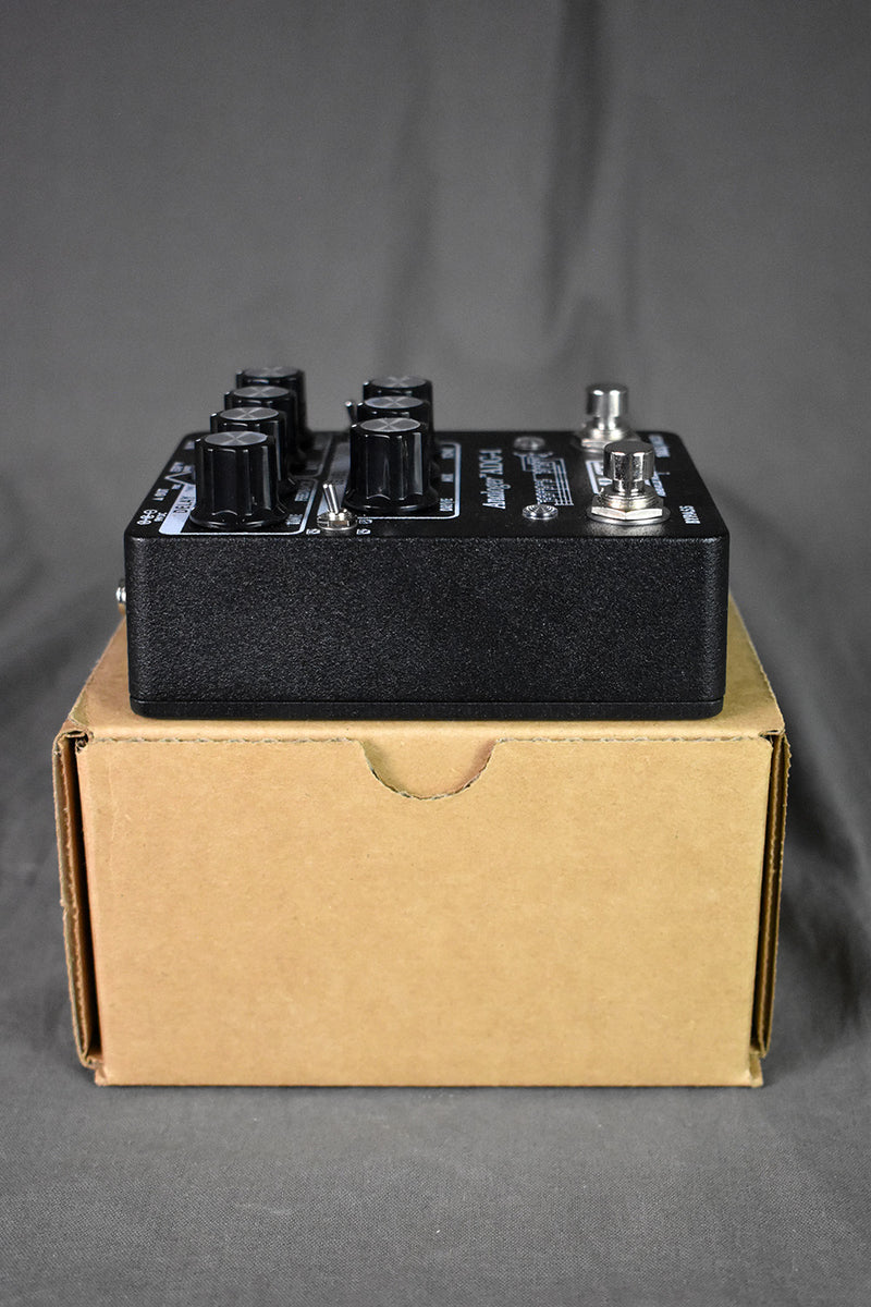 Asheville Music Tools ADG-1 700 ms Analog Delay (Special Black