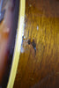 1955 Gibson Southern Jumbo SJ
