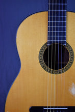 Load image into Gallery viewer, 1971 Martin N-20 w/ LR Baggs Element
