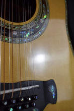 Load image into Gallery viewer, 2011 Bozo Bell Western B-75 12-String