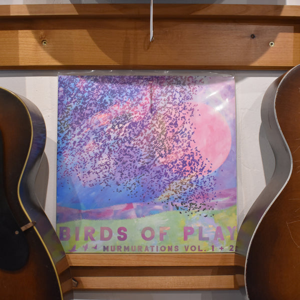 BIRDS OF PLAY / Murmurations Vol. 1 & 2 LP