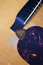 Load image into Gallery viewer, Blue Chip TP-1R Flat Pick