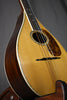 1929 Martin Style C Mandolin