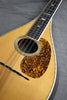 1929 Martin Style C Mandolin