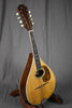 1929 Martin Style C Mandolin