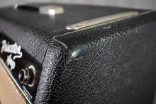 Load image into Gallery viewer, 1964/65 Fender Princeton Amp