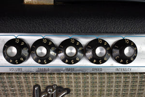 1974 Fender Vibro Champ