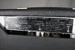 1974 Fender Vibro Champ