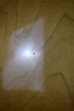Load image into Gallery viewer, 1974 Guild G-37 Blonde