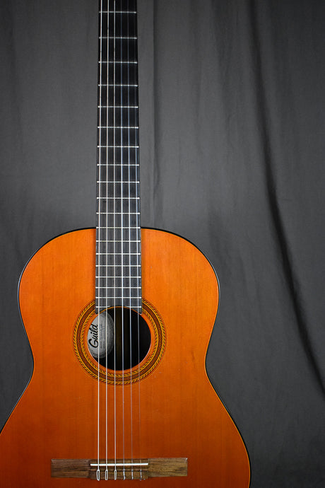 1978 Guild Mark IV Classical