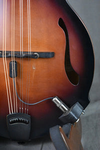 2008 Breedlove Quartz FF