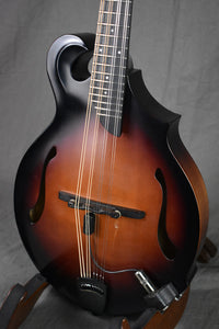 2008 Breedlove Quartz FF