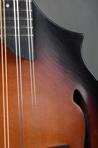2008 Breedlove Quartz FF