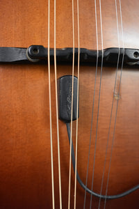 2008 Breedlove Quartz FF