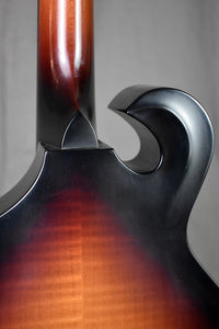 2008 Breedlove Quartz FF