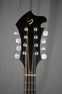 2008 Breedlove Quartz FF