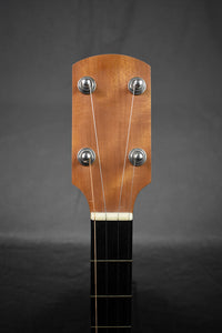 2008 Enoch Tradesman Fretless