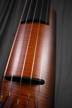 Load image into Gallery viewer, 2010 NS Design NXT5a Active Bass 5-String
