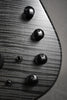 2010s NS Designs CR5 Radius Fretless
