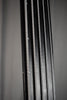 2010s NS Designs CR5 Radius Fretless