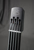 2010s NS Designs CR5 Radius Fretless