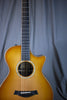 2011 Taylor 12-Fret GC-LTD Spring Limited Edition