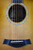 2011 Taylor 12-Fret GC-LTD Spring Limited Edition
