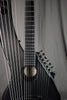 2017 Emerald Synergy X7 Custom Harp Guitar