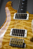 2017 Paul Reed Smith Private Stock Brazilian DGT