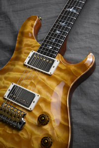 2017 Paul Reed Smith Private Stock Brazilian DGT