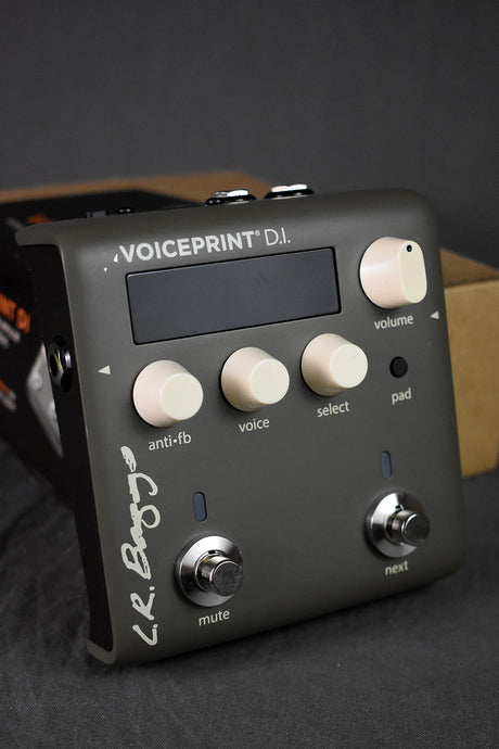 2020 LR Baggs Voiceprint