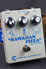 Load image into Gallery viewer, 2021 Caroline Hawaiian Pizza Sweet &amp; Savory Fuzz