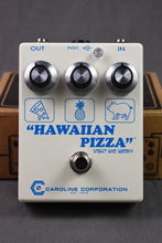 Load image into Gallery viewer, 2021 Caroline Hawaiian Pizza Sweet &amp; Savory Fuzz