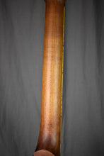 Load image into Gallery viewer, 2021 Mule Mavis Electric Resophonic Guitar