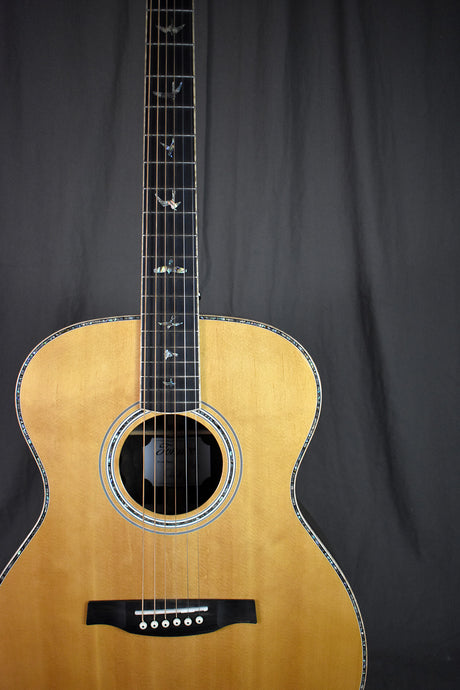 2021 PRS SE T60E Tonare