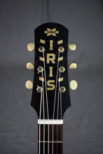Load image into Gallery viewer, Iris DF Model Burst w/ Adirondack top &amp; Firestripe pickguard