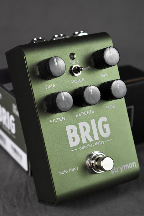 2023 Strymon Brig dBucket Delay