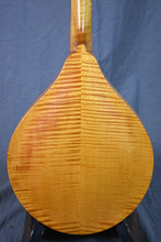 Load image into Gallery viewer, 2025 MT Honey Amber