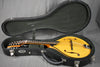2025 MT Honey Amber