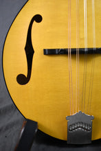 Load image into Gallery viewer, 2025 MT Honey Amber