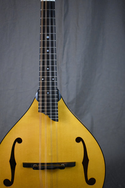 2025 MT Honey Amber