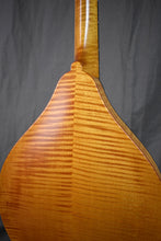 Load image into Gallery viewer, 2025 MT Honey Amber