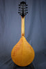 2025 MT Honey Amber