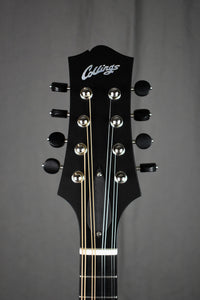 Collings MT O
