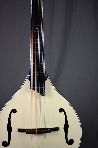 Collings MT2 Cream Top