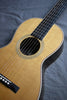 Collings Parlor 2H T Baked Sitka